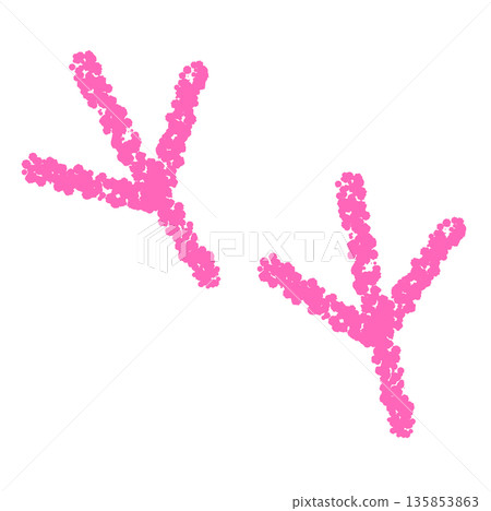 Crayon material: Hand-drawn bird footprint illustration 135853863