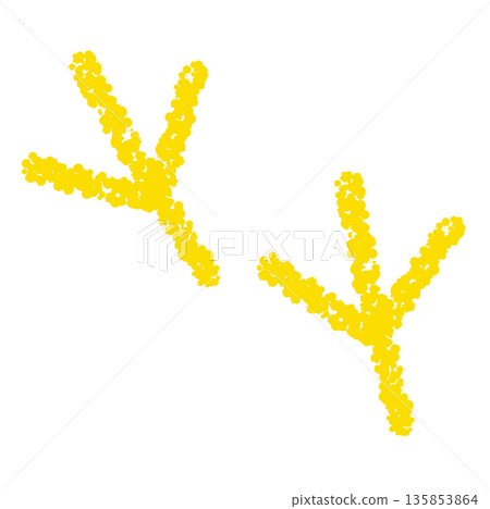 Crayon material: Hand-drawn bird footprint illustration 135853864