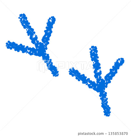 Crayon material: Hand-drawn bird footprint illustration Crayon material: Hand-drawn bird footprint illustration 135853870