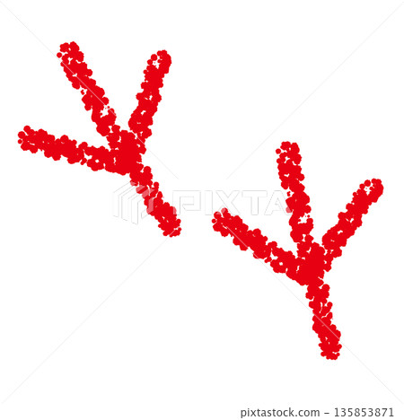 Crayon material: Hand-drawn bird footprint illustration Crayon material: Hand-drawn bird footprint illustration 135853871