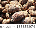 Harvested taro 135853974