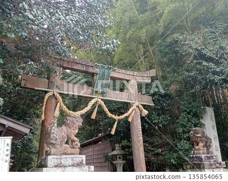 Torii gate of Hashida Shrine 135854065