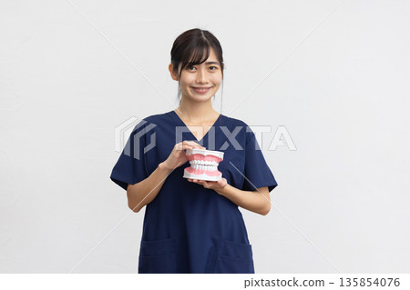 A young woman wearing navy blue medical scrubs smiling while holding a dental model in front of a white background 135854076