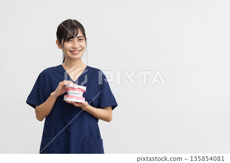 A young woman wearing navy blue medical scrubs smiling while holding a dental model in front of a white background 135854081