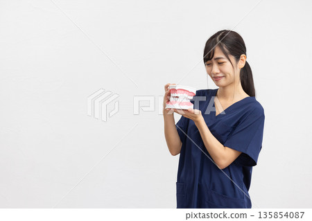 A young woman wearing navy blue medical scrubs smiling while holding a dental model in front of a white background A young woman wearing navy blue medical scrubs smiling while holding a dental model in front of a white background 135854087