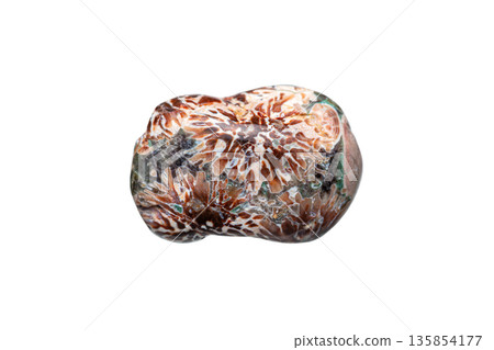 Flower Rhyolite (Green flower jasper) 135854177