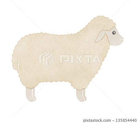 A gentle hand-drawn illustration of a white sheep 135854440