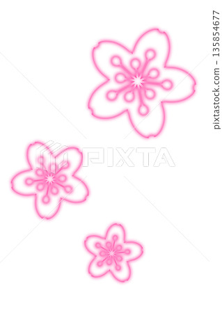 A vibrant pink cherry blossom illustration A vibrant pink cherry blossom illustration 135854677
