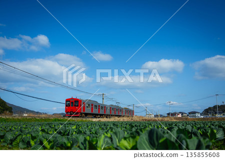 一列普通列車穿過糸島的菜園。 135855608