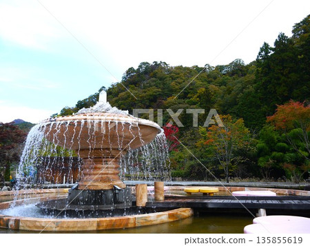 A garden with a fountain A garden with a fountain 135855619