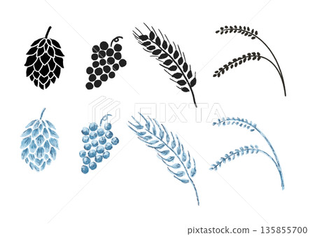 用於釀酒的植物 - 手繪插圖，水彩風格 135855700