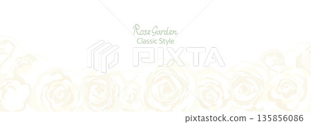 Vector illustration of a row of white roses on a white background 135856086