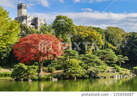 Kiyosumi Garden, Koto Ward, Tokyo, Autumn scenery, Metropolitan Designated Place of Scenic Beauty 135856087