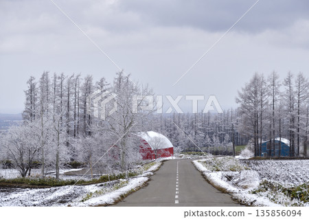 Early spring frost in Kiyosato 135856094