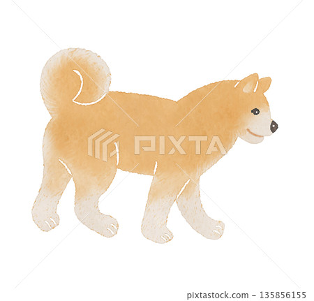 可愛的狗狗插畫,風格柔和的手繪 | 狗狗,柴犬,秋田犬 可愛的狗狗插畫,風格柔和的手繪 | 狗狗,柴犬,秋田犬 135856155