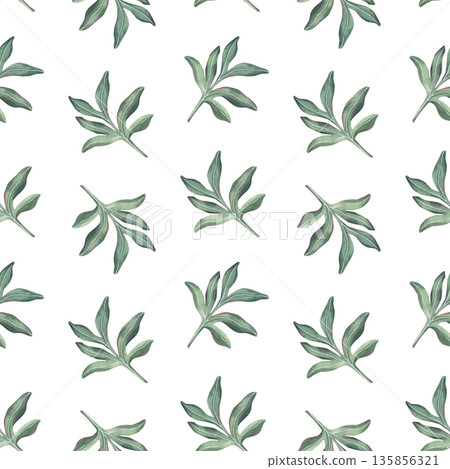 Seamless pattern with delicate peony leaves. Hand-painted watercolor botanical illustration isolated on white for textiles, packaging, stationery, wallpapers, branding, wedding design, romantic decor 135856321
