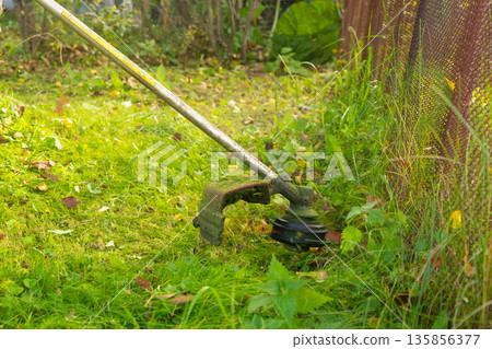 Grass trimmer cutting tall grass in the garden, close up view of a brushcutter for yard work, property maintenance and landscaping concept. Grass trimmer cutting tall grass in the garden, close up view of a brushcutter for yard work, property maintenance and landscaping concept. 135856377