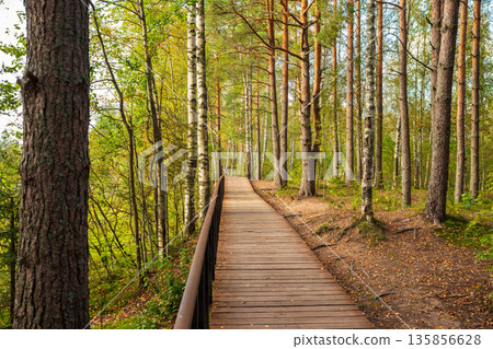 smooth wooden pathway leads through thick greenery beside a tranquil body of water. Sestroretskoye swamp eco trail smooth wooden pathway leads through thick greenery beside a tranquil body of water. Sestroretskoye swamp eco trail 135856628
