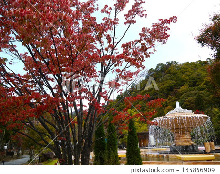 Scenic view of Shosenkyo Scenic view of Shosenkyo 135856909