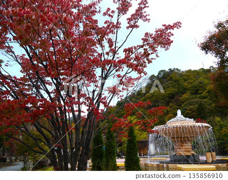 Fountain surrounded by autumn leaves Fountain surrounded by autumn leaves 135856910