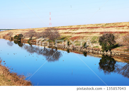 Scenery of the Shingashi River in Wako City Scenery of the Shingashi River in Wako City 135857043