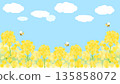 Illustration of a rapeseed flower field shining against a blue sky 16:9 version 135858072
