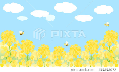 油菜花田在藍天映襯下熠熠生輝的插畫（16:9 版本） 135858072