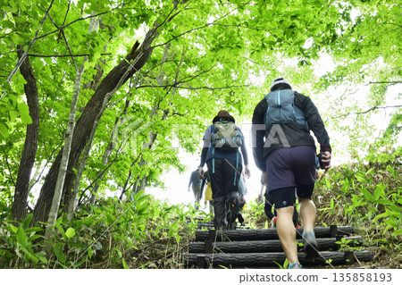 清裡町港南冒險森林 135858193