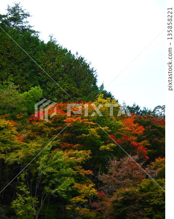 Shosenkyo風景看法 135858221