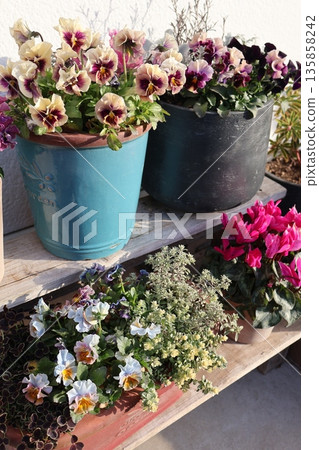 擺放在花架上的插花和花盆 135858242