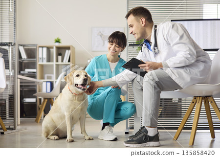 Smiling veterinarian and nurse petting labrador during checkup in modern clinic Smiling veterinarian and nurse petting labrador during checkup in modern clinic 135858420