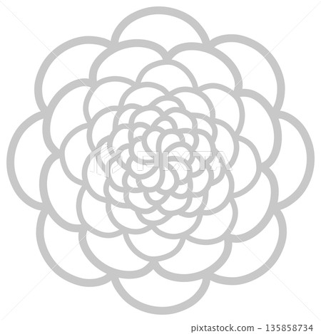 Gray flower with many petals Gray flower with many petals 135858734