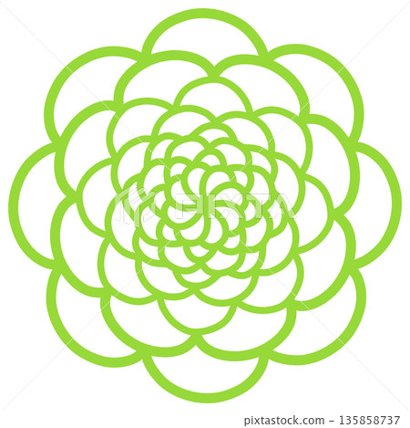 黃綠色多瓣花 黃綠色多瓣花 135858737