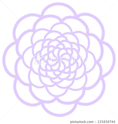 Light purple flower with many petals Light purple flower with many petals 135858744