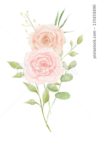 Watercolour bouquet with pink roses and eucalyptus leaves isolated on white background, flowers Watercolour bouquet with pink roses and eucalyptus leaves isolated on white background, flowers 135858890