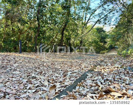 Sidewalk covered with dead leaves Sidewalk covered with dead leaves 135858982