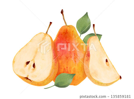Composition of a yellow pear with leaves and fruit slices. Botanical watercolor illustration. Organic food sketch. Hand-drawn, isolated art. Healthy tree fruits for juice design, menus, and packaging Composition of a yellow pear with leaves and fruit slices. Botanical watercolor illustration. Organic food sketch. Hand-drawn, isolated art. Healthy tree fruits for juice design, menus, and packaging 135859181