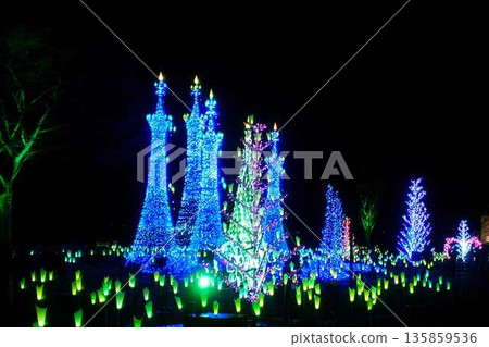 Illumination Sagae City Illumination Sagae City 135859536