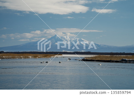 Lake Tofutsu and Mount Shari create a tranquil winter marshland and snow-capped mountains in Hokkaido. 135859794