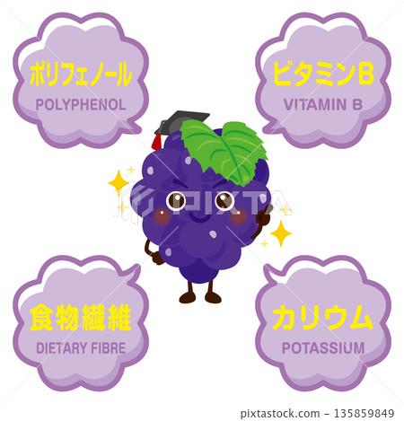 葡萄的特徵及葡萄成分圖示 葡萄的特徵及葡萄成分圖示 135859849