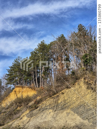 Erosion of sand and clay slope with pine forest and landslide risk. Erosion of sand and clay slope with pine forest and landslide risk. 135860799