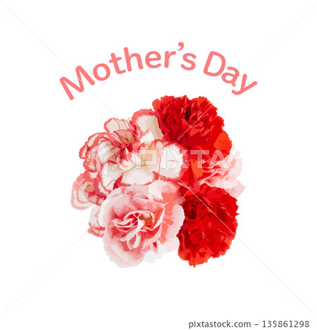 Mother's Day red and pink carnation bouquet background on white background Mother's Day red and pink carnation bouquet background on white background 135861298