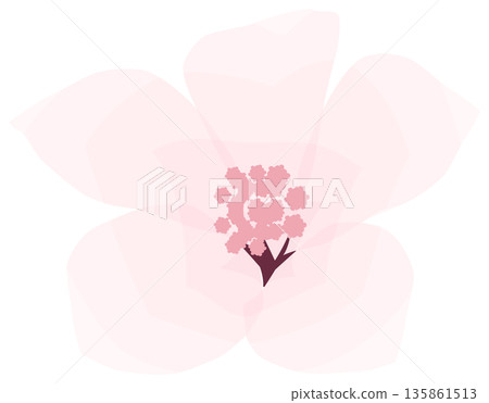 櫻花，簡單易懂的春花插圖 135861513