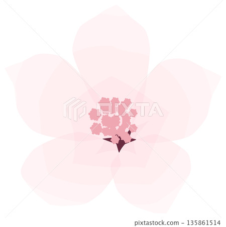 櫻花，簡單易懂的春花插圖 135861514