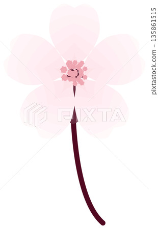 櫻花，簡單易懂的春花插圖 135861515