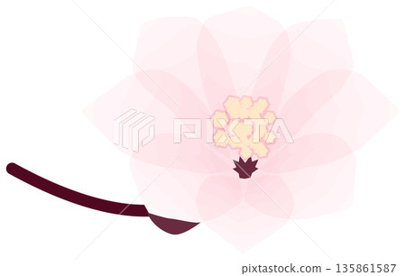 Cherry blossoms, simple and easy spring flower illustration Cherry blossoms, simple and easy spring flower illustration 135861587