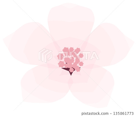 Cherry blossoms, simple and easy spring flower illustration Cherry blossoms, simple and easy spring flower illustration 135861773