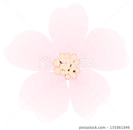 櫻花，簡單易懂的春花插圖 135861846