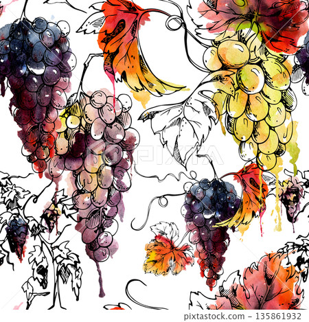 Repeating vineyard seamless pattern of botanical grape bunches, leafy vine tendrils, shoots in watercolor and ink. Wine labels, natural food gift wrap, fabric design and gourmet product styling. 135861932