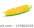 Fresh corn illustration 135862038